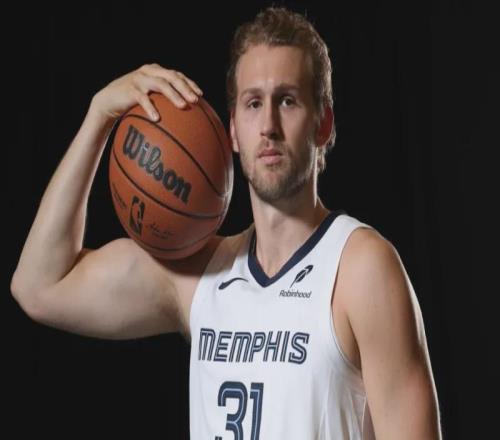 中国中锋学约基奇纯属异想天开，真想打NBA还得学兰代尔