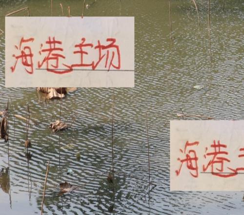 难得八万人不如白玉碗！联赛最后主场海港破3万人比隔壁申花还多