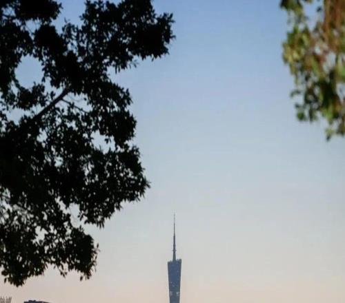 百岁山深度携手2025广州马拉松赛：让奔跑闪耀湾区，让坚持值得珍视