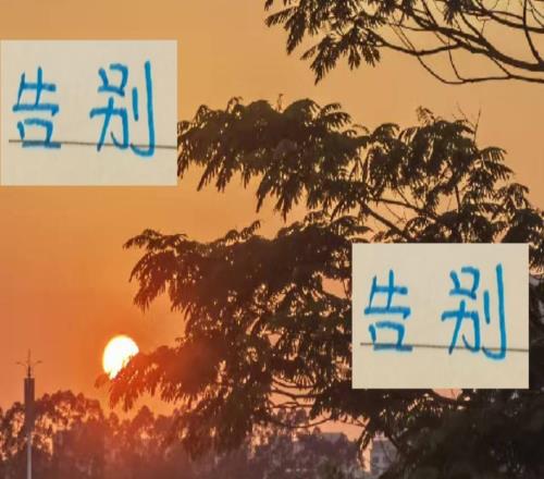 又到了告别季节！明年可能见不到外援海港申花的9号会换人吗