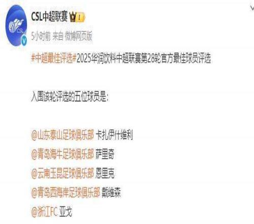 中超第28轮最佳候选：卡扎伊什维利恩里克在列