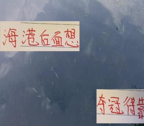 从ICU到KTV的感觉海港输球反胜第3名后面能否夺冠就看运气了