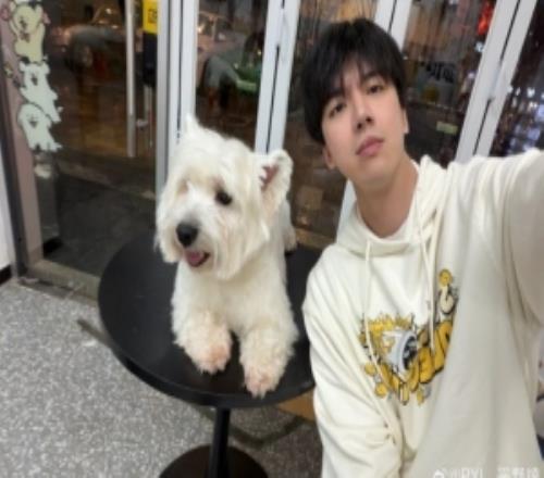 解说PYL分享生活照片：洗狗等一年