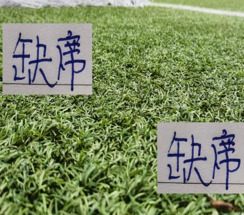 最后一轮！家家都有上不了场球员海港是武磊3人申花是1号门将