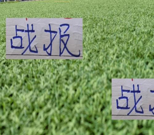 中超第30轮战报海港勇夺4冠军申花拿下第10个亚军