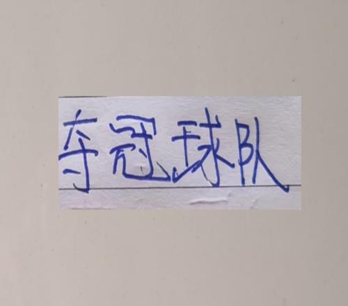 具备夺冠的球队除了申花跟海港外可能还有大小绿北京国安浙江