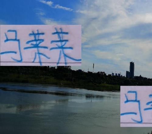 马莱莱两个接替者就米内罗表现神勇期待下赛季别受伤