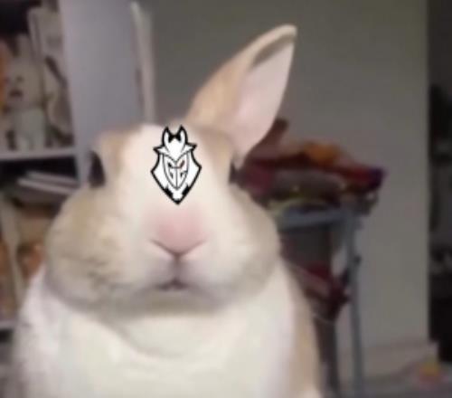 Bin语从句已学会G2官博发文：过年偷偷比赛卷死你们