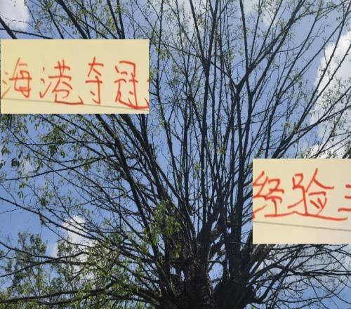 10年里！前四的球队只有海港有中超联赛夺冠经历