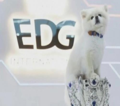 EDG队宠Nice去了汪星昨晚Nice微博账号更新：永远爱奈奈