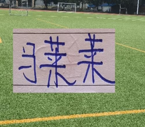 大连英博也是猛！早早开启申花备战！马莱莱能现身八万人体育场吗