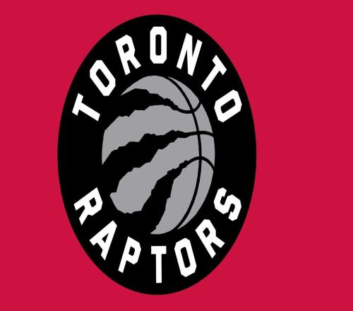 猛龙官宣珀尔特尔因背部紧张不会回归比赛