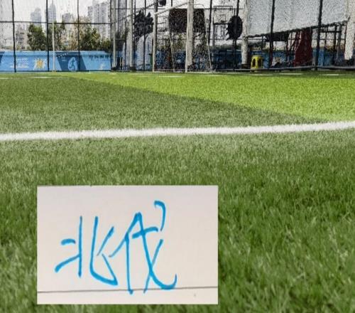 申花北伐开始！三月首战马莱莱今年要开香槟有点困难了！