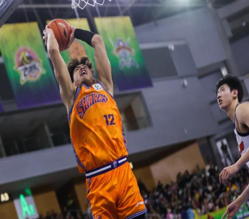 一个急救兵，砍15+5让准国手无地自容，球迷：张镇麟终于有替补了