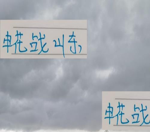 太脆了！申花战山东巴西锋线外援全受伤了