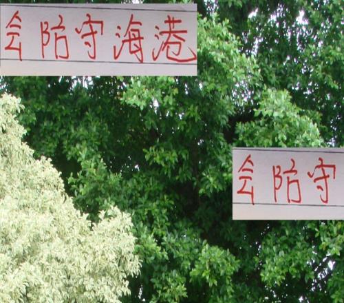 从强强对话送人头！到申花+北京国安身上拿6分会防守海港挺棒
