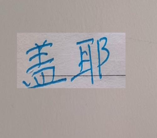 如果盖耶能来申花的锋线应该超越山东成为中超最贵的锋线了