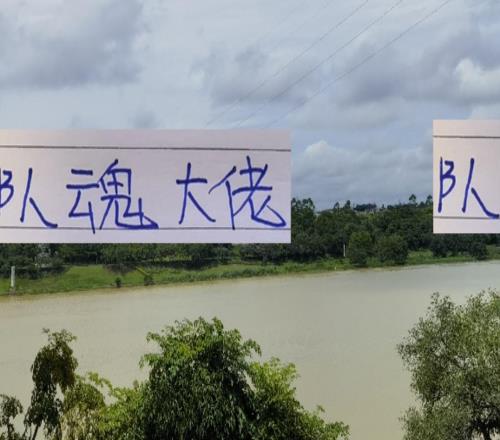 队魂大佬！中超三大球队里海港是莱昂成都是周定洋申花是吴曦