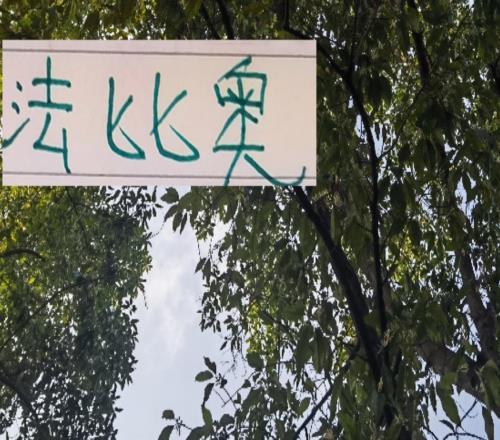 西班牙教头走后！北京国安大佬法比奥最后四轮能争最佳射手吗