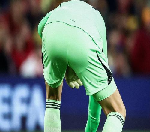 小插曲，威尔士对比利时的世预赛中有老鼠入场短暂干扰了比赛