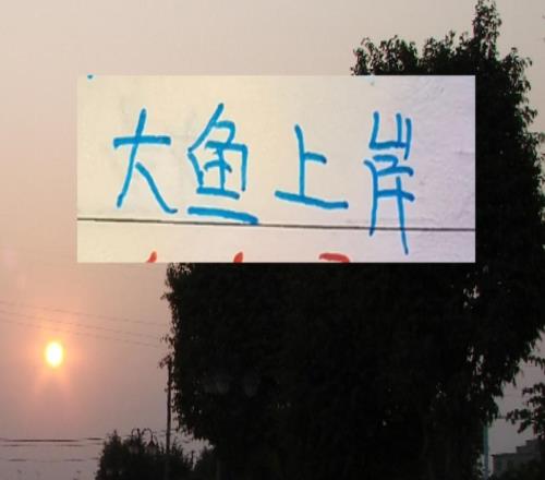 有大鱼才有夺冠的希望！海港申花成都浙江都有大鱼上岸了