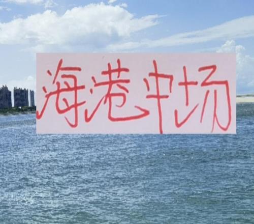 如果海港中场锦鲤离开！本土球员谁能代替他的位置